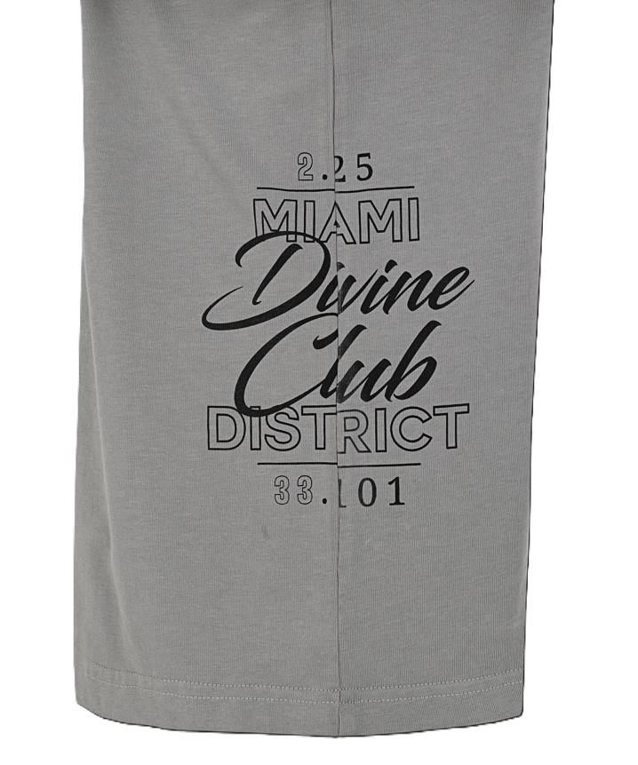 Camiseta Blvr Divine Gris