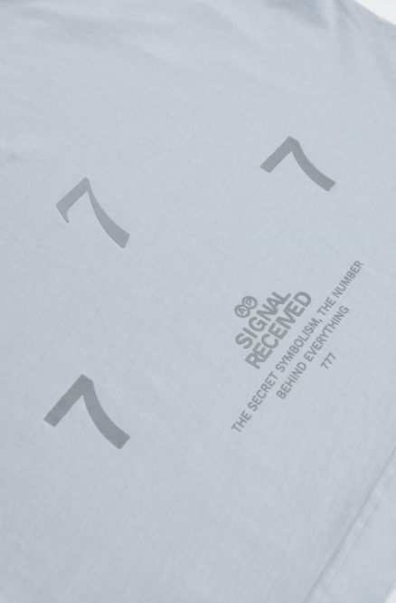 Camiseta Signal Gris