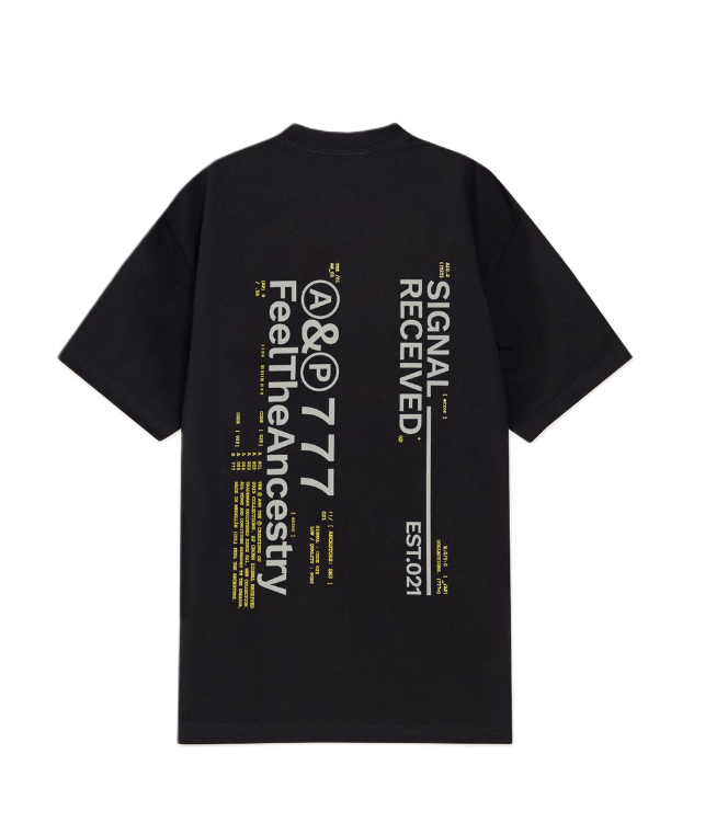 Camiseta Ashen Negro