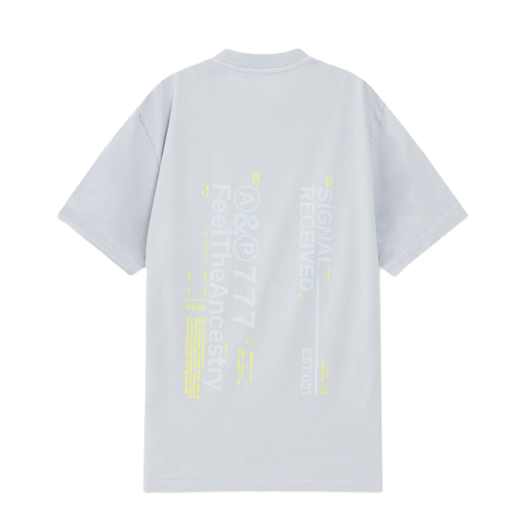 Camiseta Ashen Gris