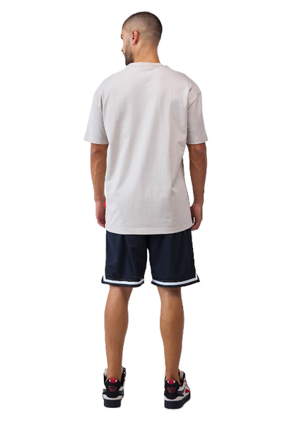 Camiseta Sepolcro Gris