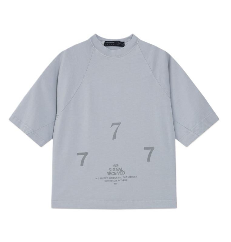 Camiseta Signal Gris